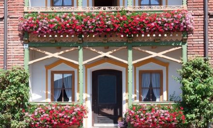 Tipps und Inspirationen für Balkonblumen » Einfach, schnell, praktisch